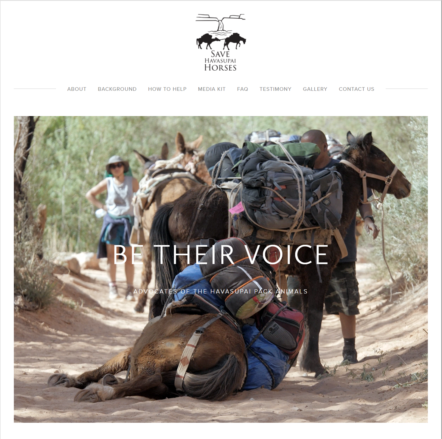 Save Havasupai Horses website thumbnail